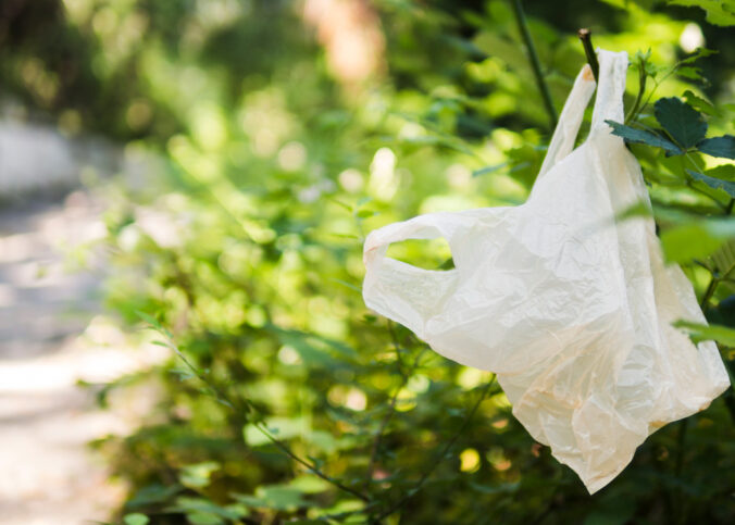 Onde comprar sacos plásticos biodegradáveis em São Paulo