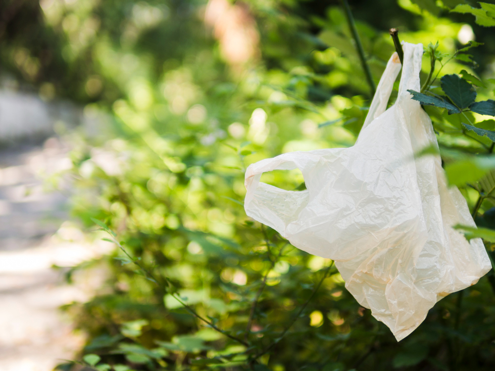 Onde comprar sacos plásticos biodegradáveis em São Paulo