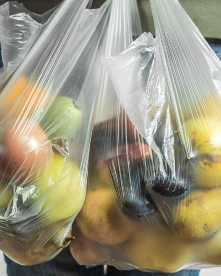 Comprar sacarias de PEBD com qualidade e confiança com a POLYPLAST